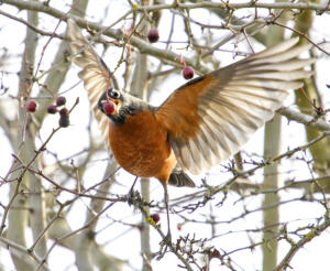 2P9A9925 edit - Delta Ponds