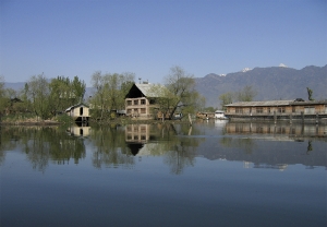 IMG 2067 edit - Kashmir