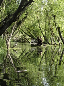 IMG 2143 edit - Kashmir