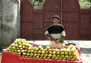 IMG 4075 edit%20copy - Kashmir