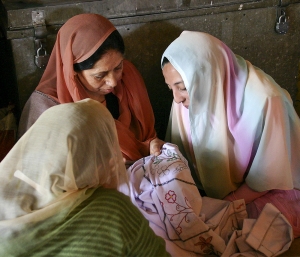 IMG 4412 edit - Kashmir