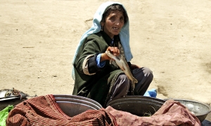 IMG 4552 edit%20copy - Kashmir