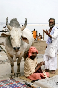 IMG 5649 edit - Sadhus