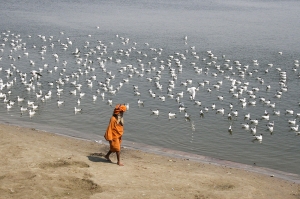 IMG 6539 edit - Sadhus