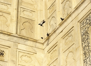 IMG 2130 edit - India