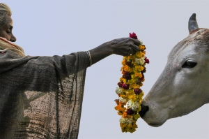 IMG 6161 edit - Worship